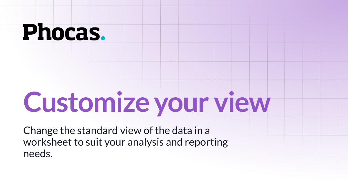 Customize your view | Budgets & Forecasts | User documentation
