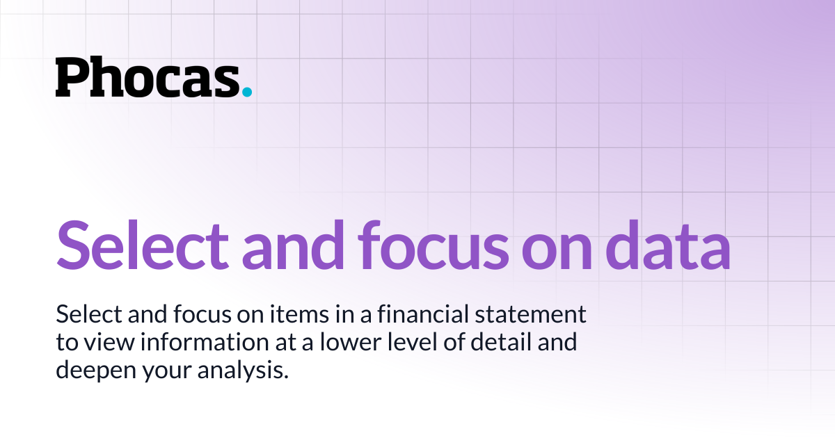 Select and focus on data | Financial Statements | User documentation
