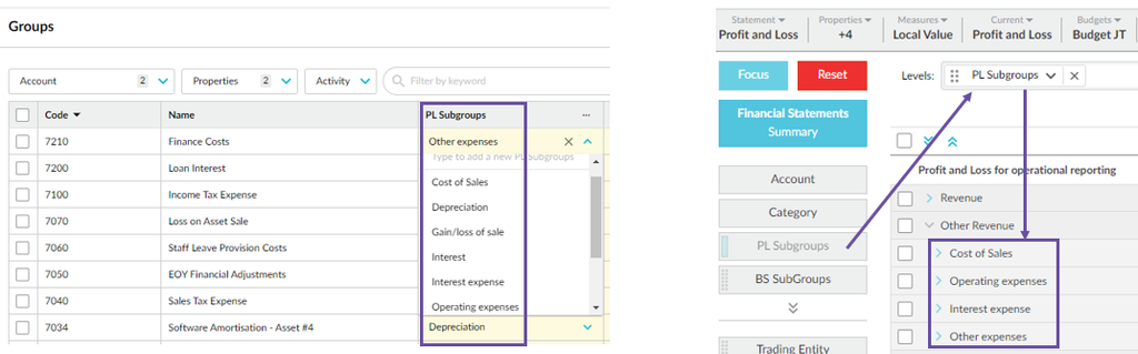 Statement grid showing a sub-dimension level under category rows